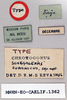 CollectionObject 1540642; 6fde860c-2d02-46d3-b27a-8ad95d61d925: labels (holotype). (CollectionObject).