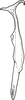 Stylus on Anufrievia expansa Cao & Zhang, 2018: Stylus, dorsal view. (Observation).