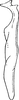 Stylus: Stylus (E. arboricola Vilbaste, 1968). (Observation).