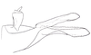 Pygofer, lateral view on Chinaia serrata Linnavuori, 1965: Male holotype [USNM]: pygofer and anal tube, lateral view. (Observation).