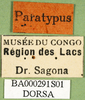 CollectionObject 1502568; a8833749-938d-4776-94b4-6a2135c4c494: labels (paratype). (CollectionObject).