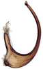 Athysanus argentarius, aedeagus, laterally (INHS). Depicts Aedeagus, lateral view, an Observation.;Athysanus argentarius, aedeagus, laterally (INHS). Depicts Aedeagus, lateral view, an Observation.;Athysanus argentarius, aedeagus, laterally (INHS). Depicts Aedeagus, lateral view, an Observation.