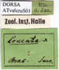 labels (type). Depicts CollectionObject 1538334; MLUH DORSA ATvelcruS01, 0076a6d1-dbca-4acc-aa46-54a7ecbba9bc, a CollectionObject.