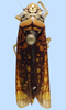 Habitus, dorsal view: female: Aulacizes sp., Brazil, MNRJ. (Observation).;Habitus, dorsal view: female: Aulacizes sp., Brazil, MNRJ. (Observation).