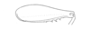 Ceuthophilus (Ceuthophilus) divergens Scudder, 1862: Fig. 486. caudal femur of male. (Otu).