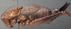 CollectionObject 1505756; ee2a8d26-a174-4663-b790-ae8baa894cb9: female, lateral view (holotype of Echinacris hispida). (CollectionObject).