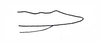 Basutacris scotti Dirsh, 1953: Fig. 30. apex of penis, profile. (Otu).