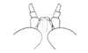 Christenacris sanguilenta Descamps & Rowell, 1984: Fig. 2. male, head, dorsal view. (Otu).