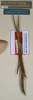 CollectionObject 1561812; NMW 1091, 95d60abd-c5f1-4a84-a33f-c0565dd4c887: copyright NMW, Vienna. female (syntype). (CollectionObject).