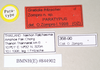 CollectionObject 1563638; 9f284ec7-ccac-4220-bede-420490ac9d70: copyright Natural History Museum, London. male, data labels (paratype). (CollectionObject).;CollectionObject 1563639; 216175cd-99bb-41d3-9189-391bfdcf5464: copyright Natural History Museum, London. male, data labels (paratype). (CollectionObject).