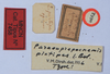 CollectionObject 1535732; 2d0bb64d-5ca3-4a65-b1fd-5a5b02c68a46: labels (syntype). (CollectionObject).