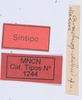 CollectionObject 1535534; MNCN1.244, 4745328b-cc2d-4899-8c76-f081dca45ef9: labels (lectotype). (CollectionObject).