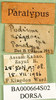 CollectionObject 1579149; 7a64a864-f89e-4240-98c1-f47261a6ae52: labels (paratype). (CollectionObject).