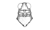 Neuquenina fictor (Rehn, 1943): Fig. 36. male head and pronotum, dorsal view. (Otu).