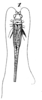 Euscyrtus (Euscyrtus) bivittatus bivittatus Guérin-Méneville, 1844: Pl. 19, Fig. 69 (1). male. (Otu).