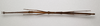 CollectionObject 1595827; 480618f6-53ad-4774-aff9-787392cc40d4: copyright LKCNH Singapore. female, ventral view (holotype). (CollectionObject).