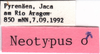 CollectionObject 1543104; 481247d3-8c38-4a21-9bfa-8c891cdc0de3: labels. (CollectionObject).
