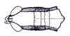 Phaeoparia lineaalba lineaalba (Linnaeus, 1764): Fig 46B. male head and pronotum, dorsal view. (Otu).