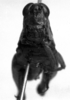 CollectionObject 1518723; de448c35-1447-4b06-977c-b4f4a06f4305: female, frontal view (holotype). (CollectionObject).