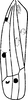 Forewing: !! display not done !! on Tautoneura tricolor Anufriev, 1969: Forewing. (Observation).