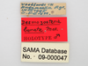 CollectionObject 1863295; b5ebe6db-97e6-4f9c-8659-3d0fd11d4c44: (CollectionObject).