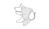 Roppacris griseipes Amédégnato & Descamps, 1979: Fig. 92. phallic complex, lateral view. (Otu).