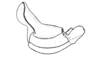 Crites prestoni Rehn, 1942: Fig. 159. endophallus, lateral view. (Otu).