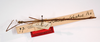 CollectionObject 1557732; 5b104d7d-9326-4b85-a238-e2e6b186c89f: copyright MNCN, Madrid. male (syntype). (CollectionObject).;CollectionObject 1557733; 2a6b8945-348f-4230-9363-ba0f5bbe7296: copyright MNCN, Madrid. male (syntype). (CollectionObject).