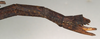 CollectionObject 1558402; NMW 924', 9da2404f-540c-4a20-9493-885d23227dad: copyright NMW, Vienna. female: end of abdomen, lateral view (paralectotype). (CollectionObject).