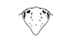 Sciaphilacris alata Descamps, 1976: Fig. 9. male, epiproct. (Otu).