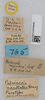 CollectionObject 1578670; 5f92a2db-a44d-48af-b48c-cc576d0bf5b3: labels (paratype). (CollectionObject).