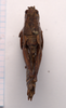 CollectionObject 2060417; 6e98e2d2-0799-402b-afb7-0dc4f27b8e21, CNMS 11: female, dorsal view (paralectotype). (CollectionObject).