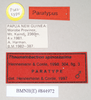 CollectionObject 1562198; NHMUK(SF IMPORT DUPLICATE) 844972, d7ca9a7e-ed7e-40d2-accb-1b76e3d111f3: copyright Natural History Museum, London. male, data labels (paratype). (CollectionObject).