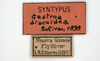 CollectionObject 1567901; f9568c08-9d49-47ce-a5ed-3332bc46c383: labels (paratype). (CollectionObject).
