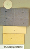 Stictomorphna geochroma (Walker, 1868): Holotype, unsexed, labels, reverse. BMNH(E)#878052. (Otu).