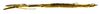 CollectionObject 1567607; c186bc43-a406-4dd2-bd95-e7cf8fc38a5b: copyright Brussels. female, lateral view (paratype). (CollectionObject).;CollectionObject 1567608; 9f20d4e0-ad33-40ba-bea8-18b1a1f859c3: copyright Brussels. female, lateral view (paratype). (CollectionObject).