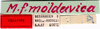 CollectionObject 1505222; 57272114-f813-426c-a501-40b2b8526900: labels (paratype). (CollectionObject).