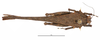CollectionObject 1572230; 436bc8e0-0f2b-429b-b284-06453976ec17: male, dorsal view (paralectotype). (CollectionObject).