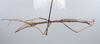 CollectionObject 1559866; c2cb55f4-bec6-4fa6-b676-c300a3afacc1: copyright ZMUH, Hamburg. male, ventral view (holotype). (CollectionObject).