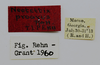 CollectionObject 1523263; f75e60ed-d7ba-44f9-9280-58d17d17f7bb: labels (holotype). (CollectionObject).