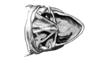 Dichromatos schrottkyi (Rehn, 1918): Fig. 7AF. male abdomen tip, dorsal view. (Otu).