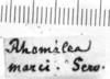 CollectionObject 1542645; 0357beec-6277-44dc-bd2b-7dc9879d9bf7: Image Carbonell, C.S. label (possibly type of Romalea marci). (CollectionObject).