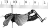 CollectionObject 1506203; 7b3eee0e-d6c3-494c-82ae-7321ffefd586: Image, C.S. Carbonell. female, lateral view (holotype). (CollectionObject).