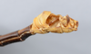CollectionObject 1560560; 24a9f81f-b1c5-41c3-9fef-8a99e6bdb5b9: copyright ANSP. male: end of abdomen, ventral view (holotype). (CollectionObject).