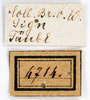 CollectionObject 1575344; 0900aada-77ce-488b-9568-2b73bbd56bd0: labels (syntype). (CollectionObject).