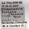 CollectionObject 1524346; 173d70bf-7c6c-412b-a31b-0c169bf7673c: labels (holotype). (CollectionObject).
