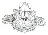 Graea horrida Philippi, 1863: Fig. 50. male head and pronotum, dorsal view. (Otu).