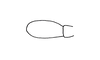 Ommatolampis perspicillata (Johannson, 1763): Fig. 12. female, terminal segment of maxillary palp. (Otu).