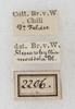 labels. Depicts CollectionObject 1565830; NMW 2206, 1fa96123-a115-49cd-bcf3-38c83057aa2d, a CollectionObject.