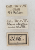 CollectionObject 1565830; NMW 2206, 1fa96123-a115-49cd-bcf3-38c83057aa2d: labels. (CollectionObject).